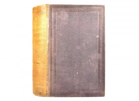 David and Charles Livingstone...