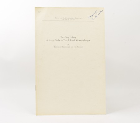 Breeding colony of ivory Gulls in Torell Land, Vestspitsbergen.